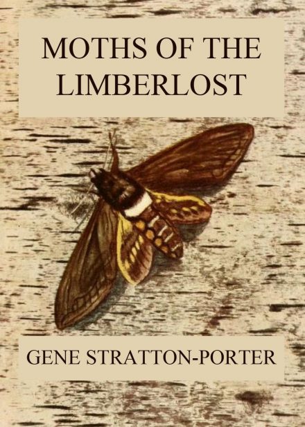 Moths of the Limberlost: Fully Illustrated Edition